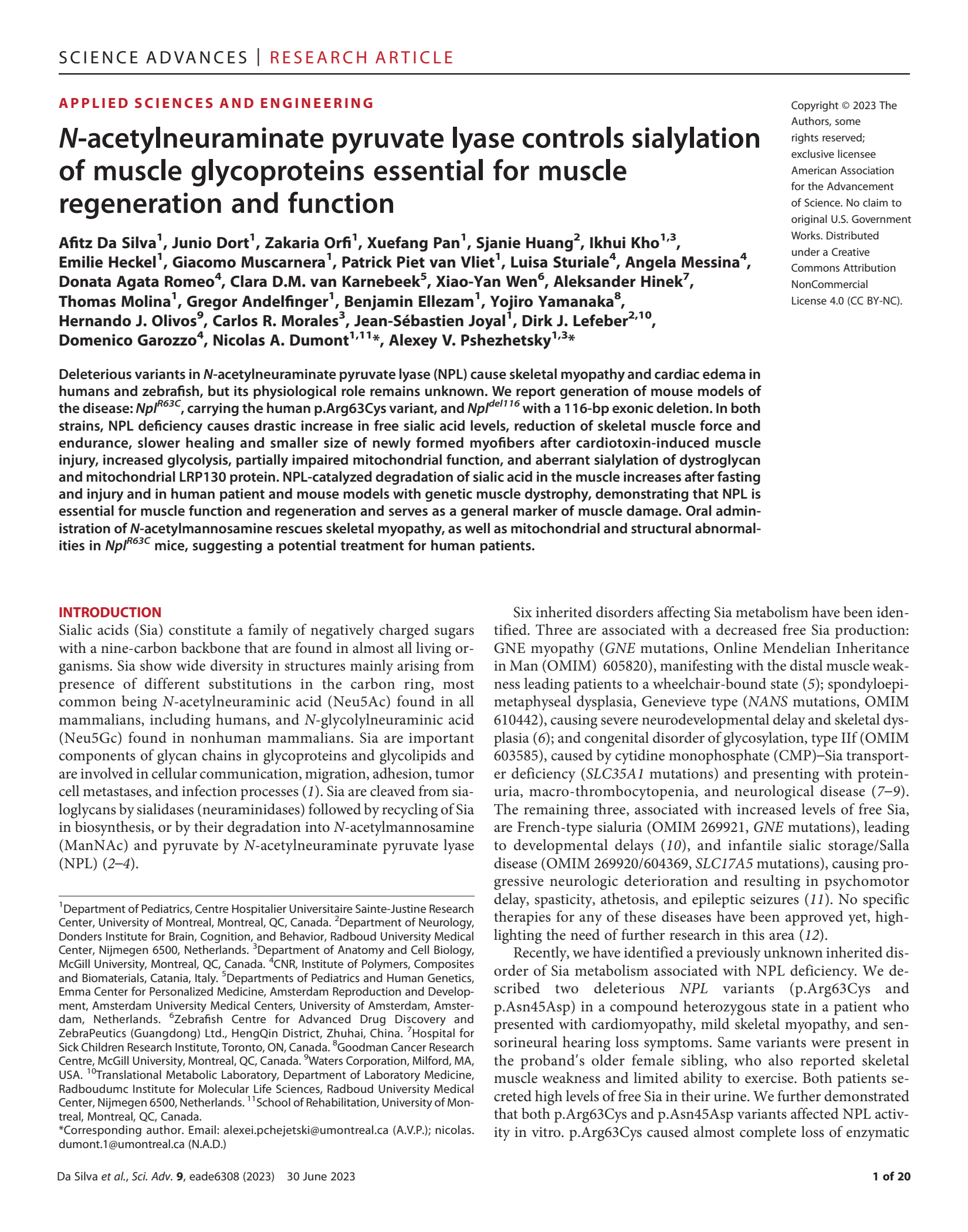 3-2023-SciAdvances-NPL-mouse copy_1.png