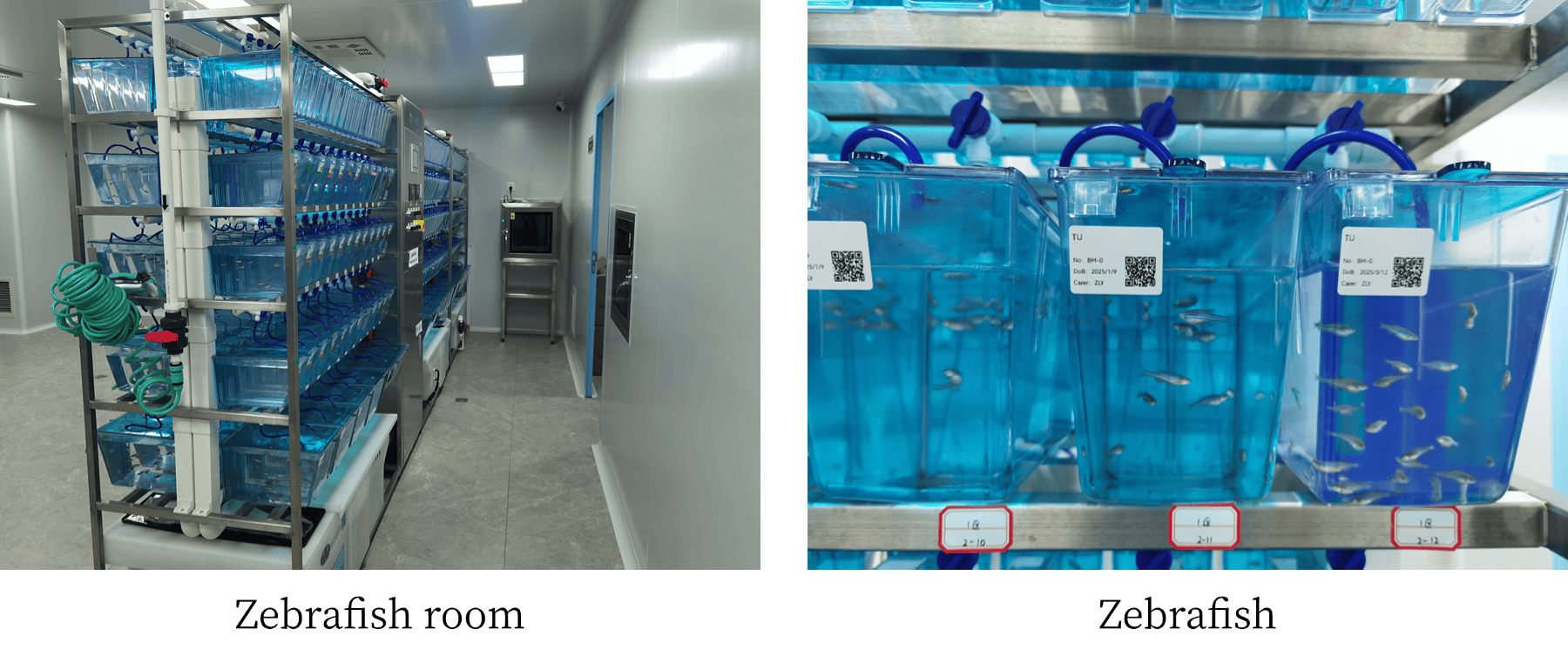 1-阳台外景 (7).png